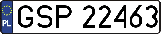 GSP22463