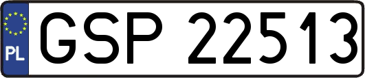 GSP22513