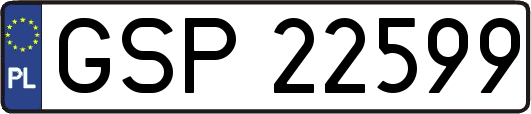 GSP22599