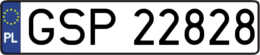 GSP22828