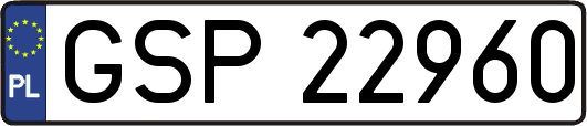 GSP22960
