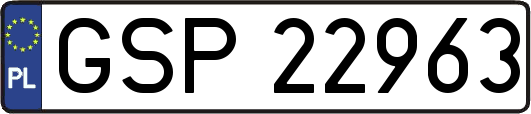 GSP22963