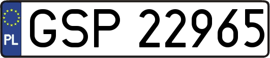 GSP22965