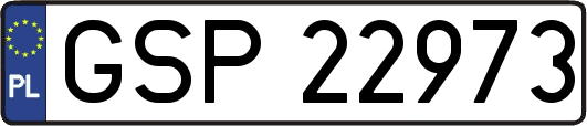 GSP22973
