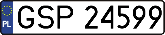 GSP24599