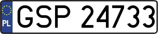 GSP24733