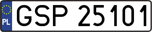 GSP25101