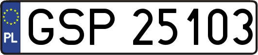 GSP25103