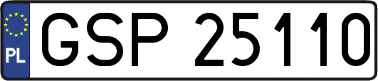 GSP25110