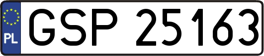 GSP25163