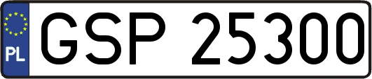 GSP25300