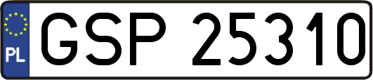 GSP25310