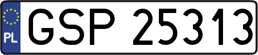 GSP25313