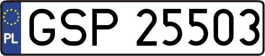 GSP25503