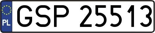 GSP25513