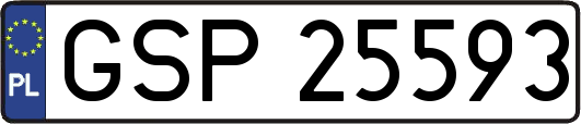 GSP25593