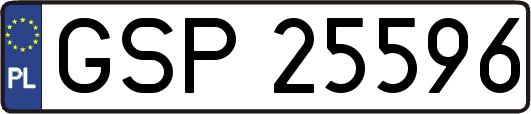 GSP25596