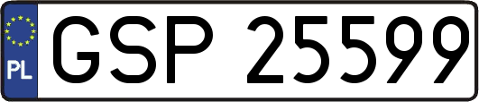 GSP25599