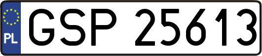GSP25613