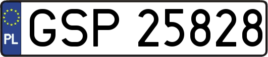 GSP25828