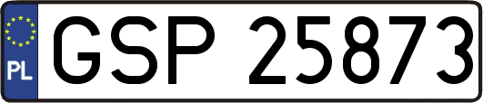GSP25873