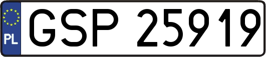 GSP25919