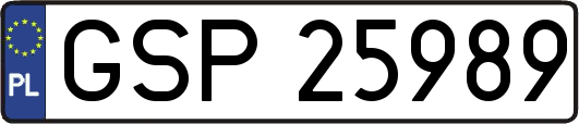GSP25989