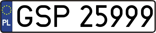 GSP25999