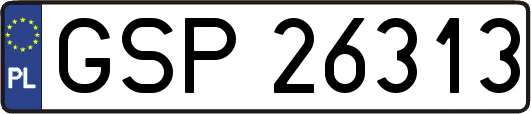 GSP26313