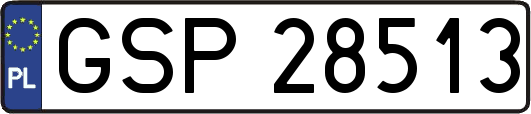 GSP28513