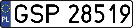 GSP28519
