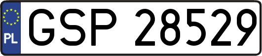 GSP28529