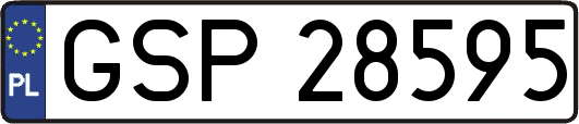 GSP28595
