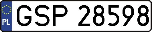 GSP28598