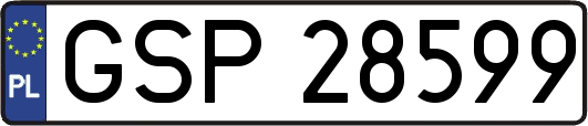 GSP28599