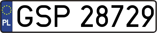 GSP28729
