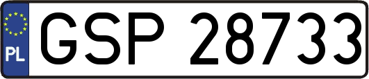 GSP28733