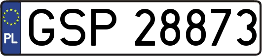 GSP28873