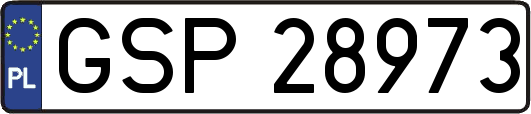 GSP28973