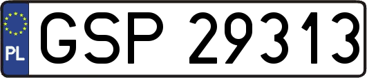 GSP29313