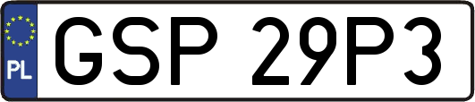 GSP29P3