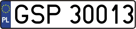 GSP30013