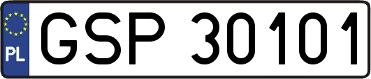 GSP30101