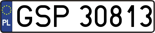 GSP30813