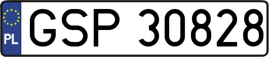GSP30828