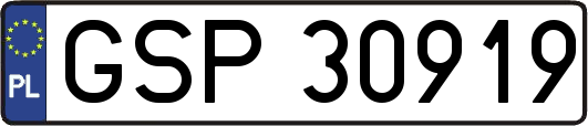 GSP30919