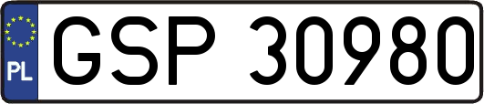GSP30980