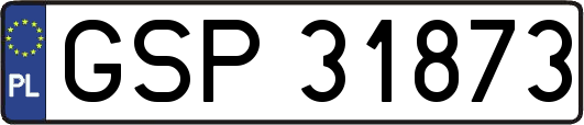 GSP31873