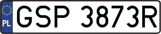 GSP3873R