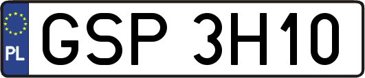 GSP3H10